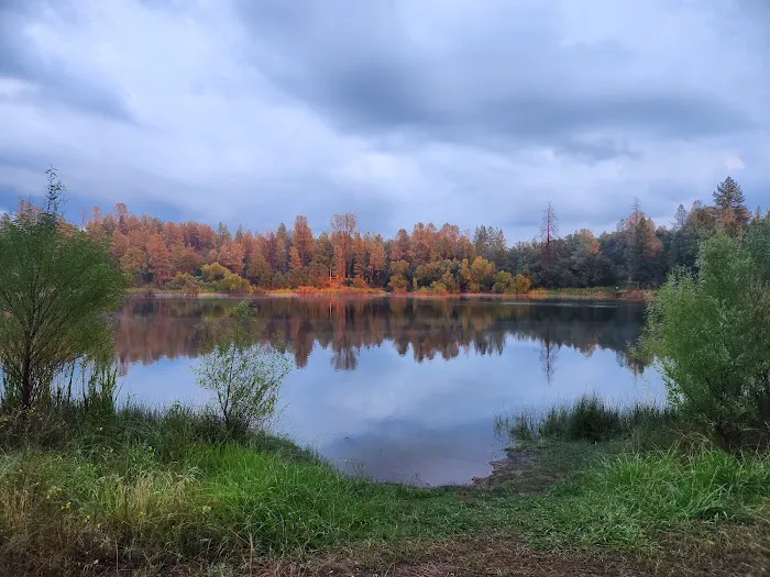Finnon Lake Campground Picture 2