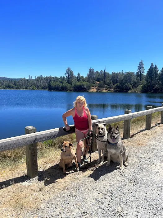 Finnon Lake Campground Picture 10
