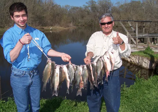 Bethy Creek Resort & RV Park Picture 10