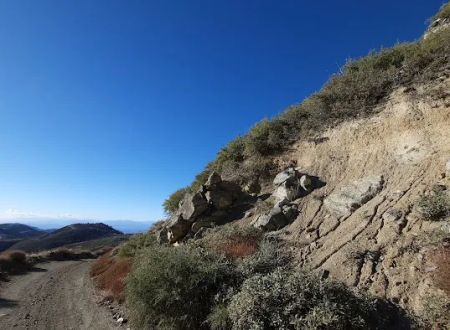 Lightning Point Group Campground