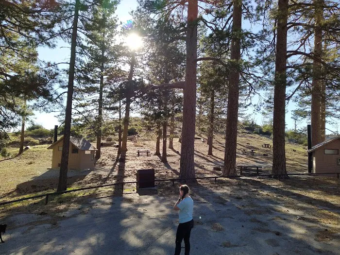 Messenger Flats Campground Picture 3