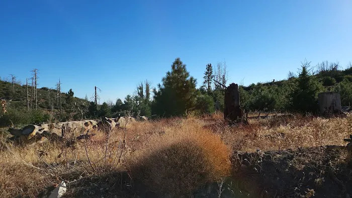 Messenger Flats Campground Picture 7