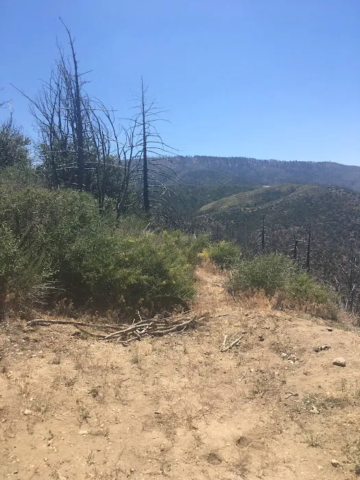 Big Buck Campground Picture 3
