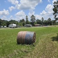 The RV Park of Dobbin ico