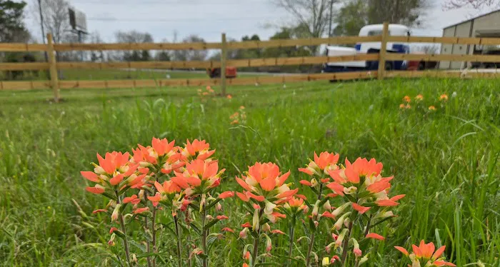 The RV Park of Dobbin Picture 6