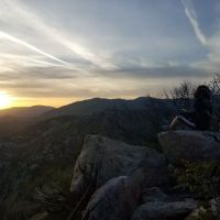 Meadow Group Campground ico