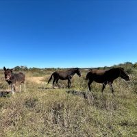 Hillview RV Park ico