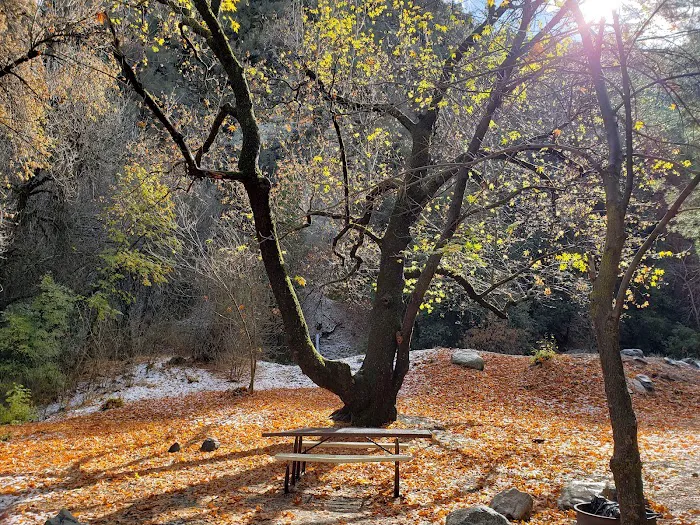Glenn Camp Campground Picture 4