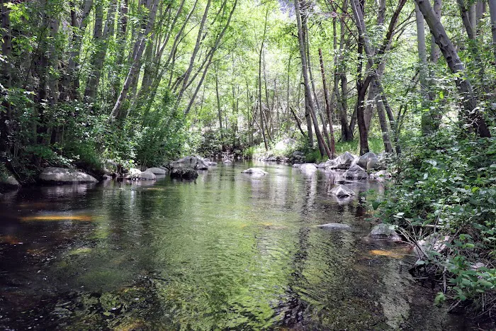 Glenn Camp Campground Picture 6