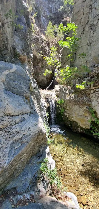 Glenn Camp Campground Picture 7