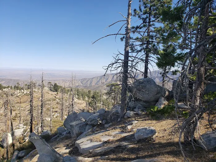 Mt. Pacifico Campground Picture 3
