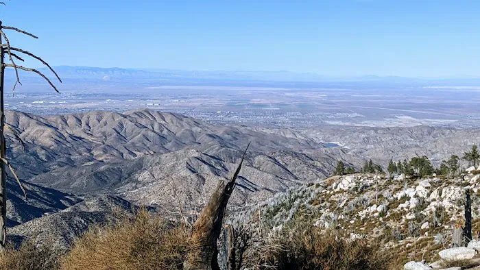 Mt. Pacifico Campground Picture 4