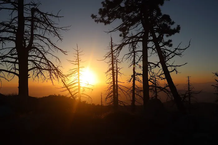 Mt. Pacifico Campground Picture 7