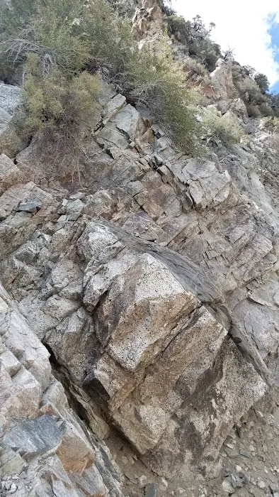 Mt. Pacifico Campground Picture 10