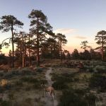 Horse Flats Campground