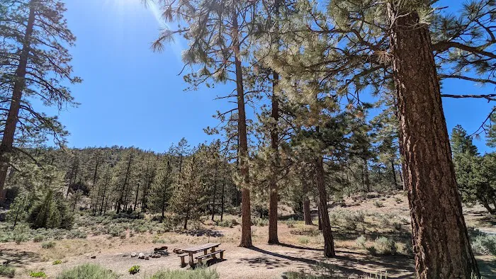 Horse Flats Campground Picture 3