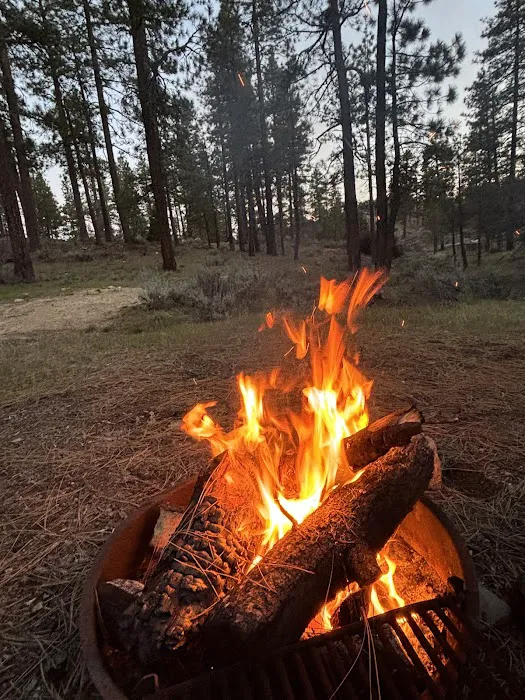Horse Flats Campground Picture 4
