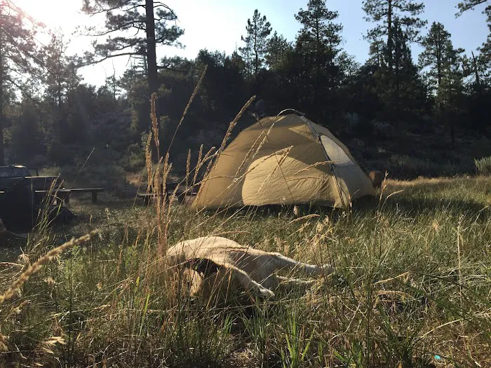 Horse Flats Campground Picture 9