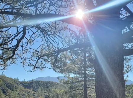Chilao Campground