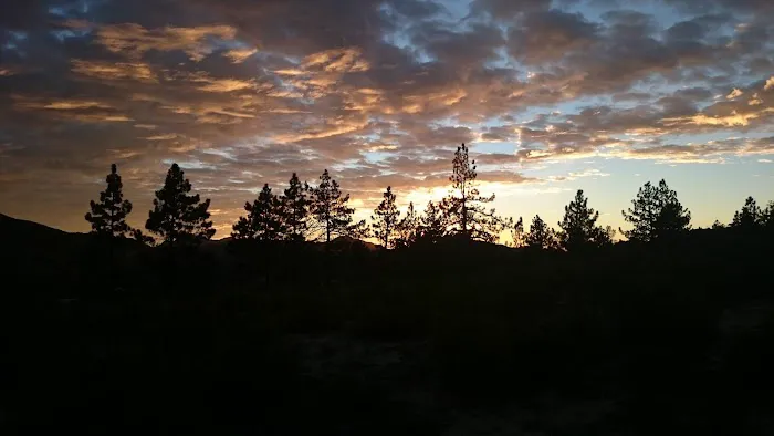 Chilao Campground Picture 4