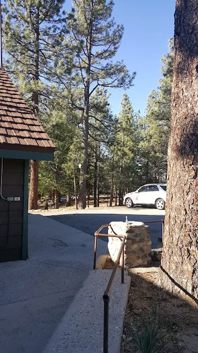 Angeles Crest Christian Camp Picture 8