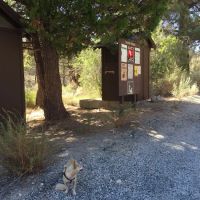 Sulphur Springs Campground ico
