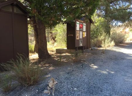 Sulphur Springs Campground