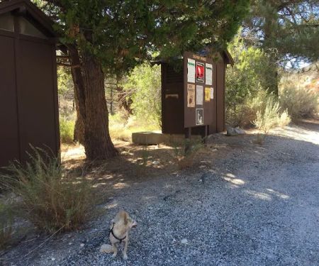 Sulphur Springs Campground