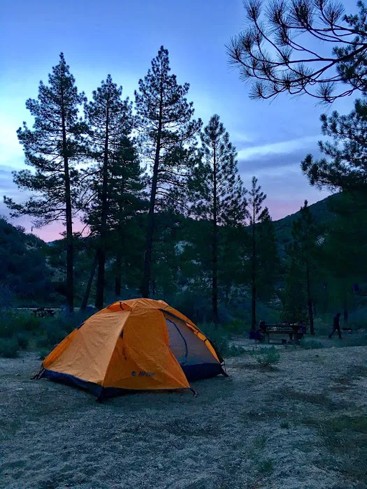 Sulphur Springs Campground Picture 9