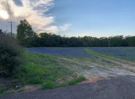 Sandy Pines RV Park