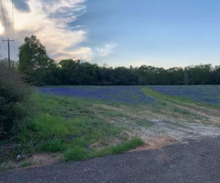 Sandy Pines RV Park