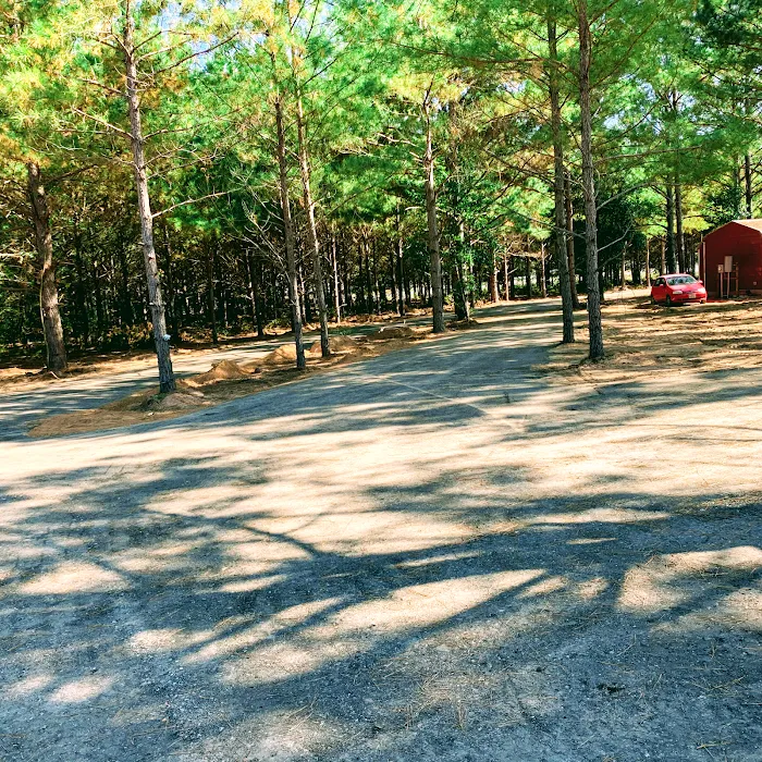 Sandy Pines RV Park Picture 3