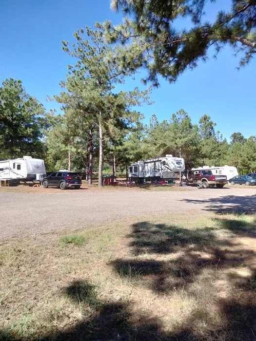 Sandy Pines RV Park Picture 8