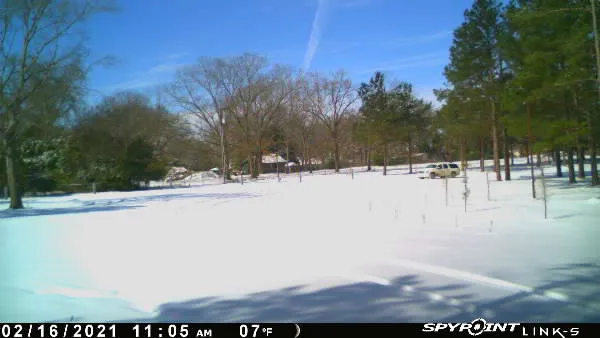Sandy Pines RV Park Picture 4