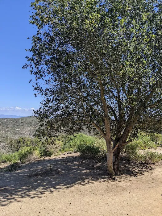 Deer Canyon Campground Picture 4