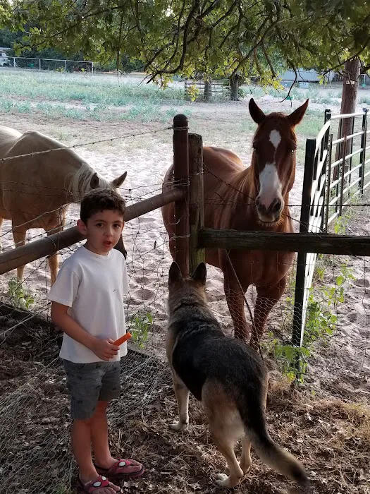 Little Star RV Park, LLC Picture 4