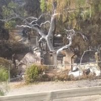 Decker Canyon Camp ico