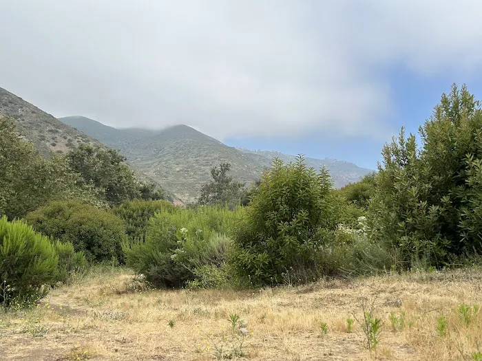 Leo Carillo Campground Picture 6