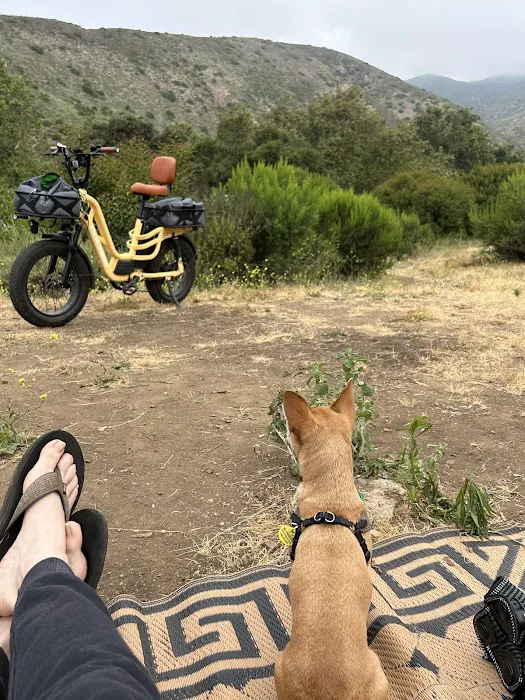 Leo Carillo Campground Picture 8