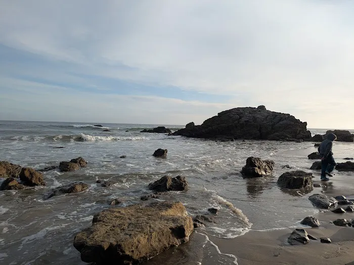 Leo Carrillo State Park Campground Picture 9