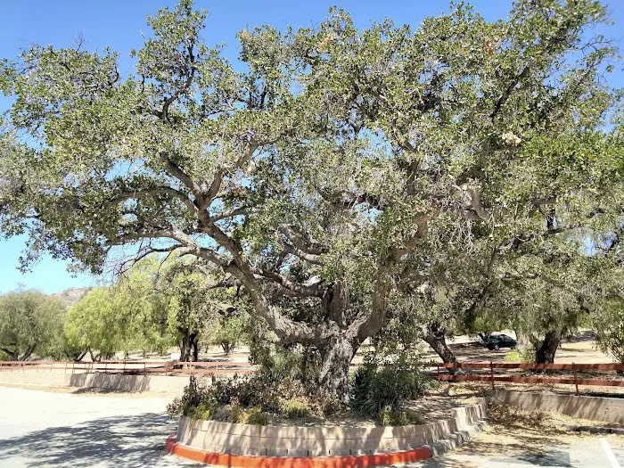 Oak Park Campground Picture 9