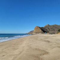 Sycamore Cove ico