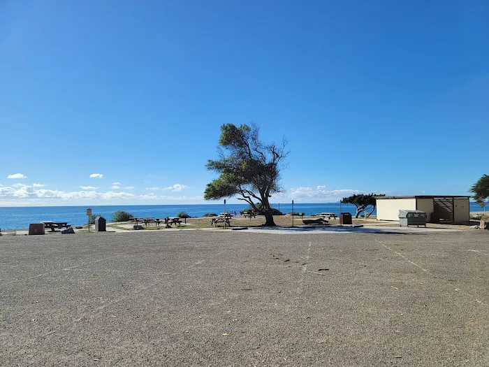 Sycamore Cove Picture 2