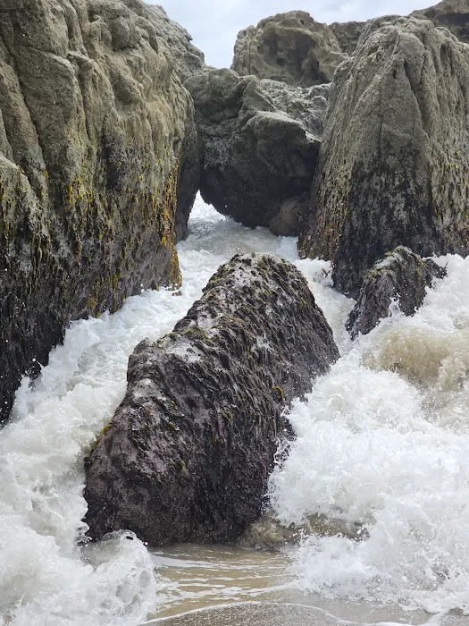 Sycamore Cove Picture 6