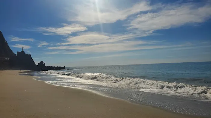 Sycamore Cove Picture 4
