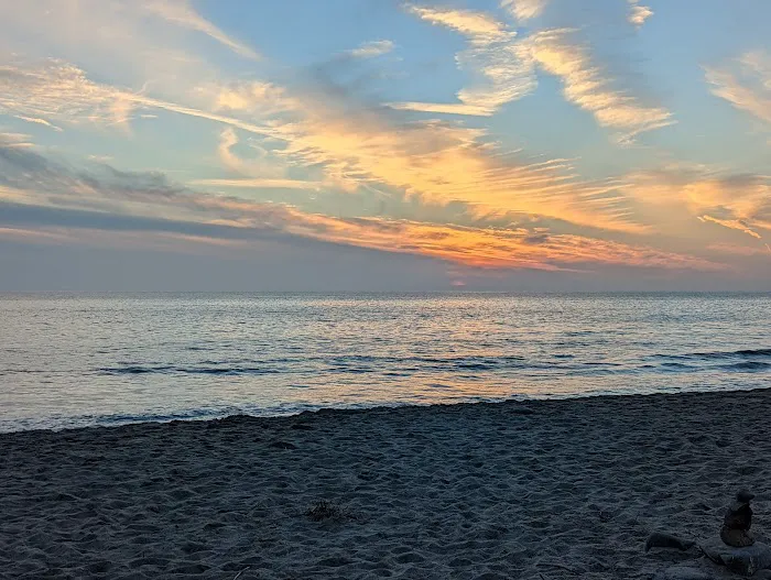 Sycamore Cove Picture 7