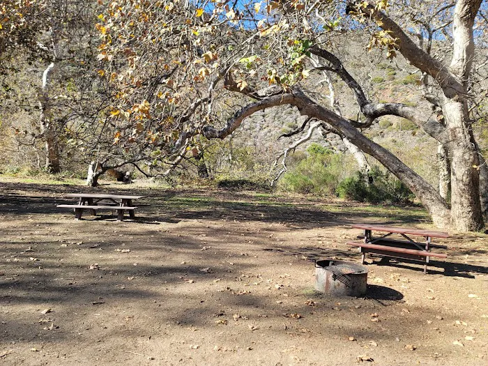 Sycamore Canyon Campground Picture 4