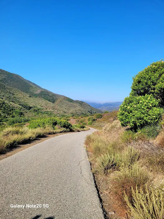 Sycamore Canyon Campground Picture 9