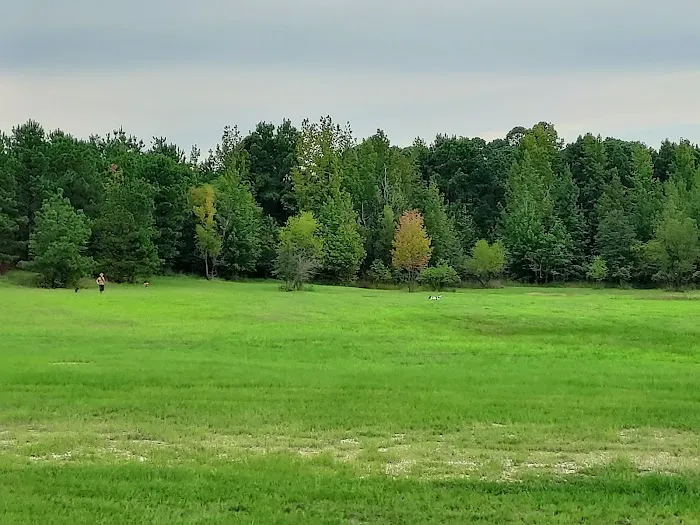Crossett Harbor/RV Park Picture 6