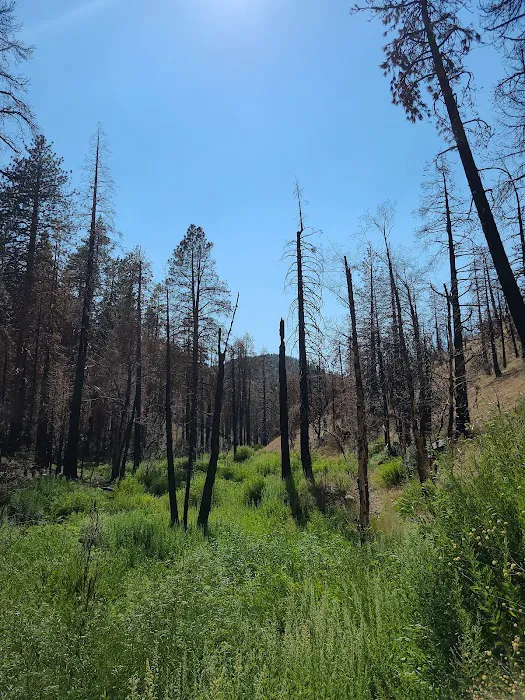 Cooper Canyon Trail Camp Picture 3